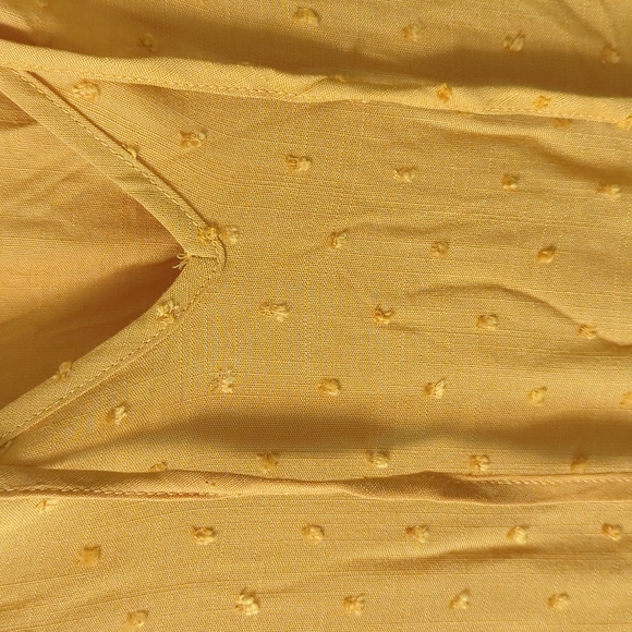 NWT Swiss Dot Tie Neck Lace Hem Dress - Picture 5 of 9